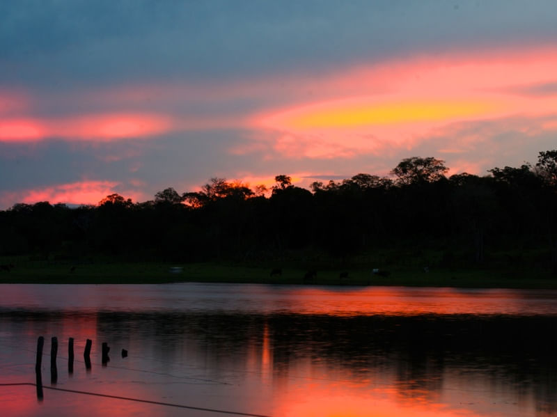 POR DO SOL PANTANAL
