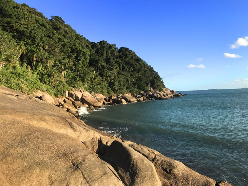 GUAIUBA