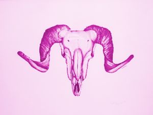 SKULL H/1