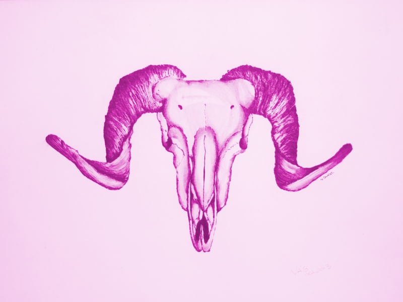 SKULL H/1