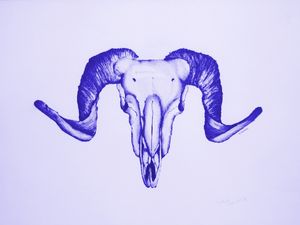 SKULL H/2