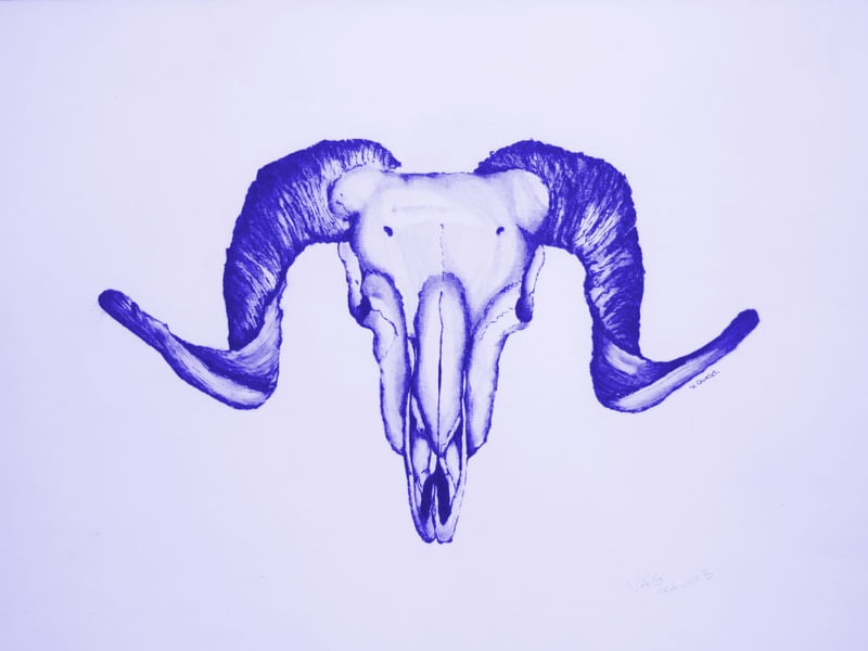 SKULL H/2