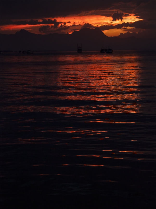 COR DA PAZ IV