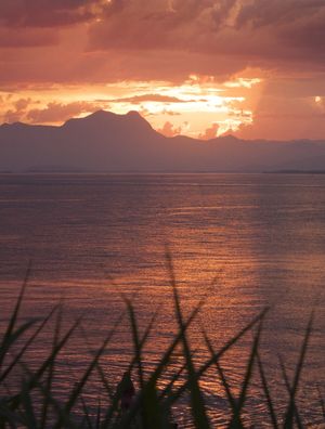 COR DA PAZ I