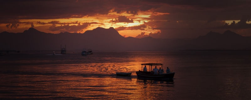 COR DA PAZ II