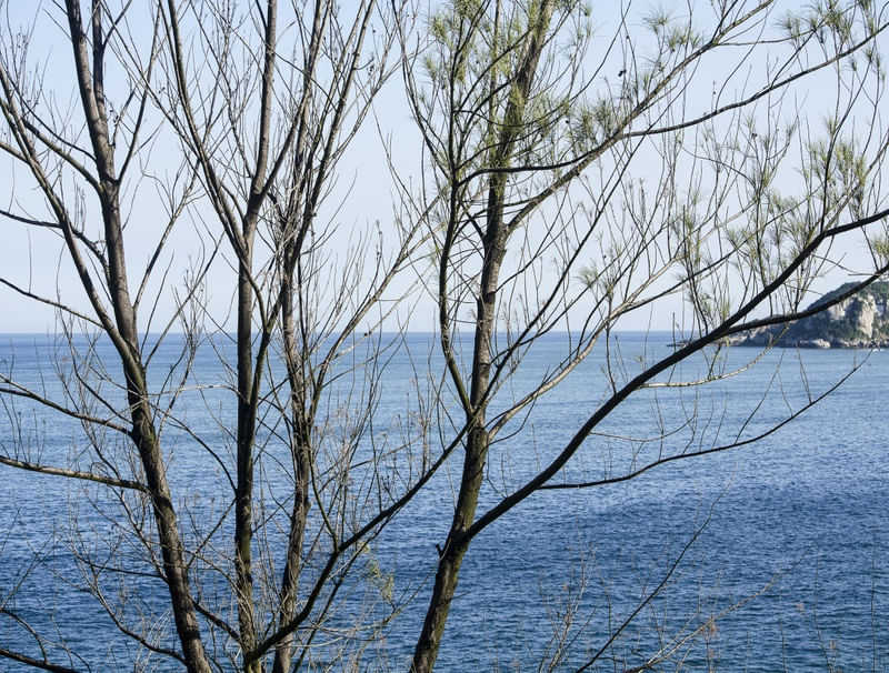 LOVE THE SEA