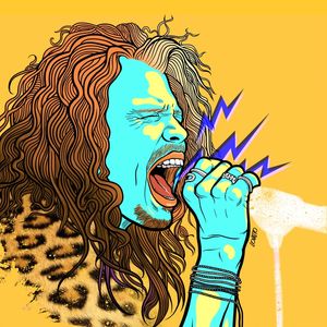 MR. STEVEN TYLER