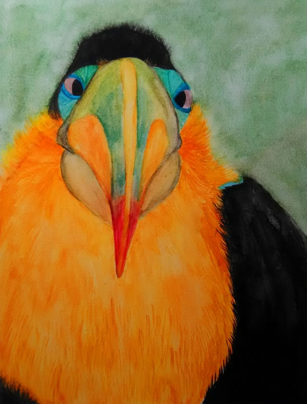 TUCANO EM AQUARELA
