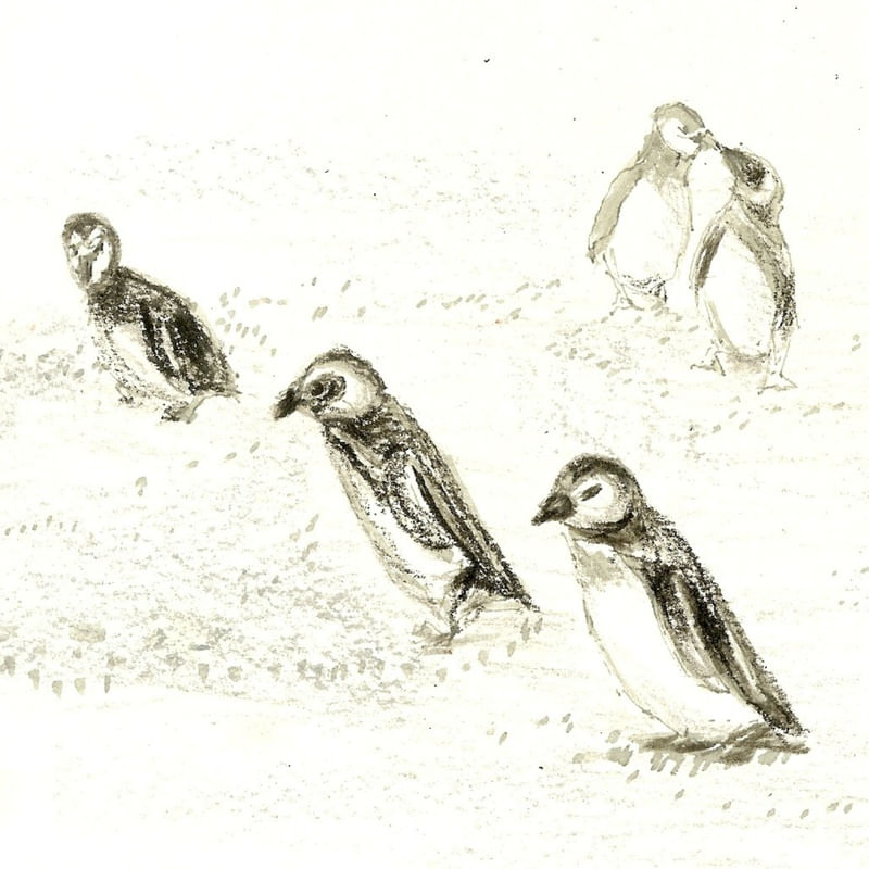 PINGUINS NA ANTARTIDA