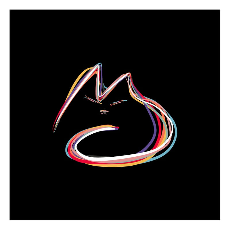 GATO COLORS BLACK