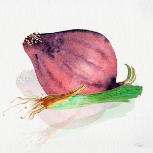 CEBOLA CEBOLINHA