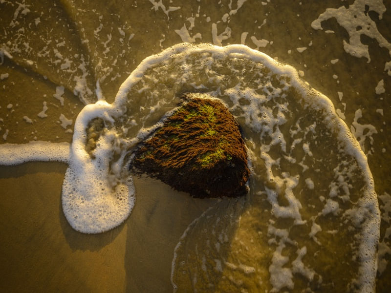 AREIA E MAR 4
