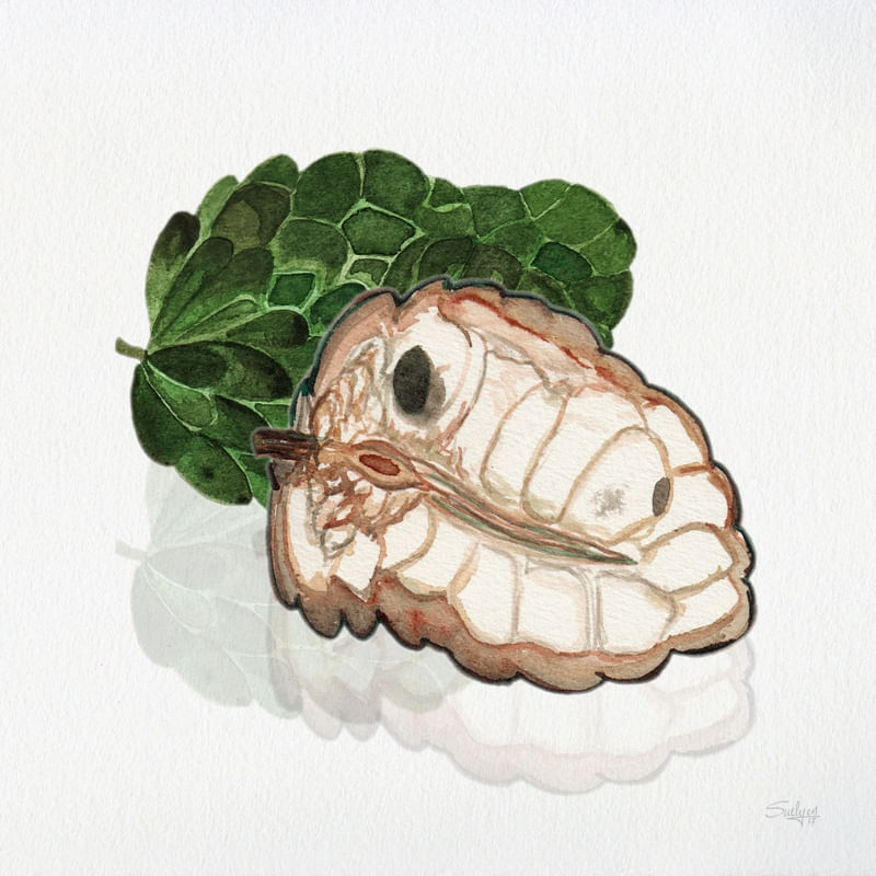 FRUTA DO CONDE 1