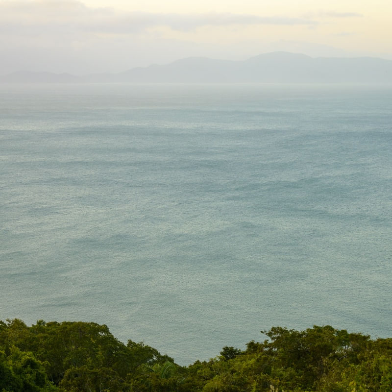MAR REVOLTO 1