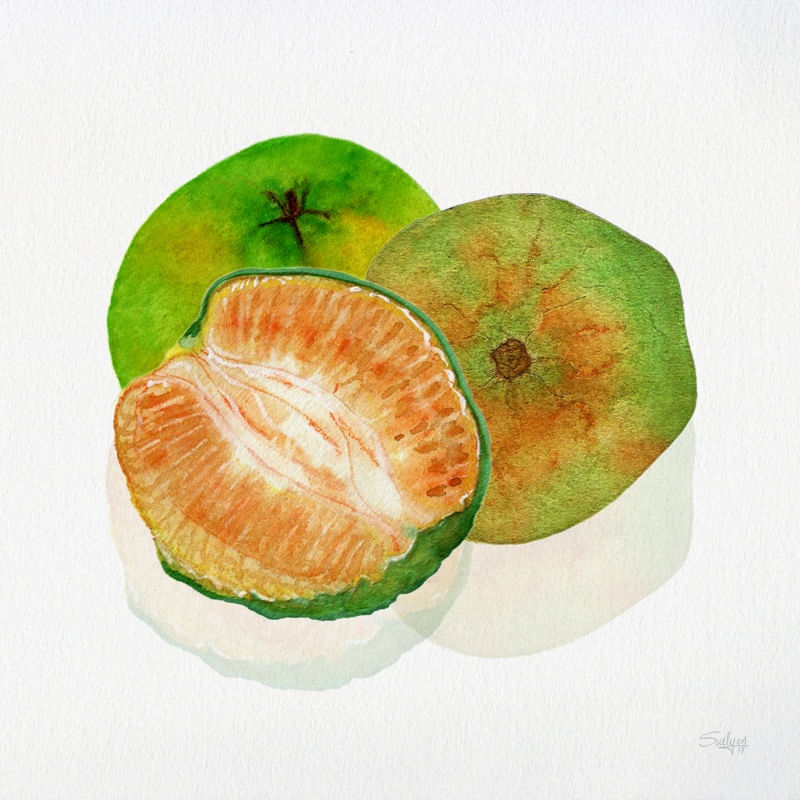 LARANJA SCM