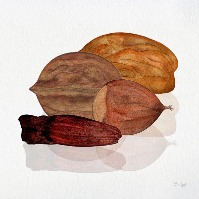 NUTS SCM