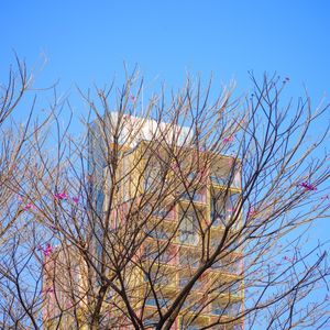 SÃO PAULO STREET 4