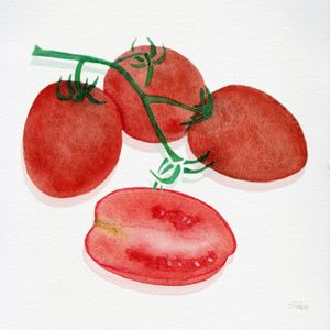 TOMATE SCM