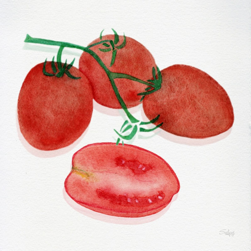 TOMATE SCM