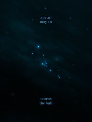 TAURUS THE BULL