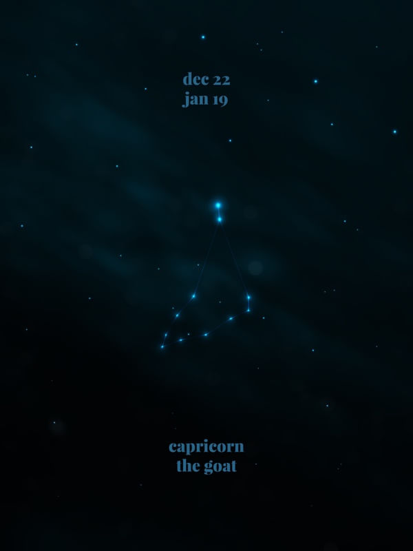 CAPRICORN THE GOAT