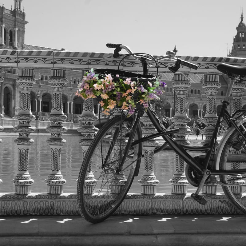 FLOR E VIDA