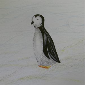 PINGUIM NA ANTARTIDA