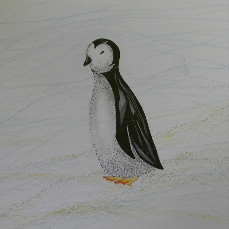 PINGUIM NA ANTARTIDA