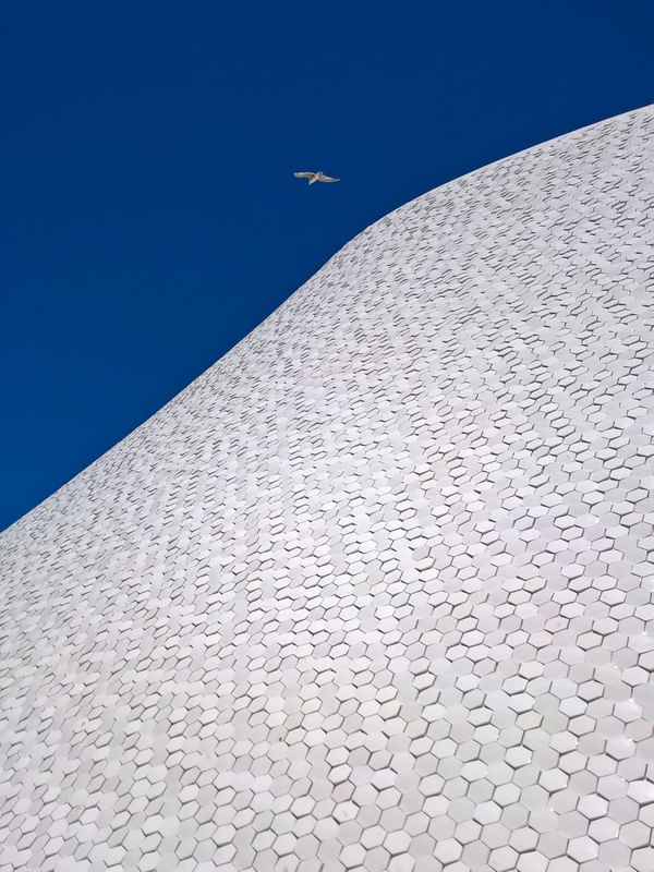 GAIVOTA SOBRE FITA