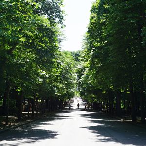 CAMINHANDO NO PARQUE