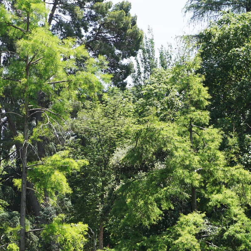VISTA JANELA