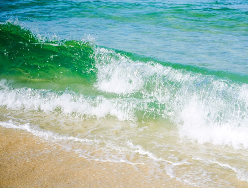 SAL DO MAR