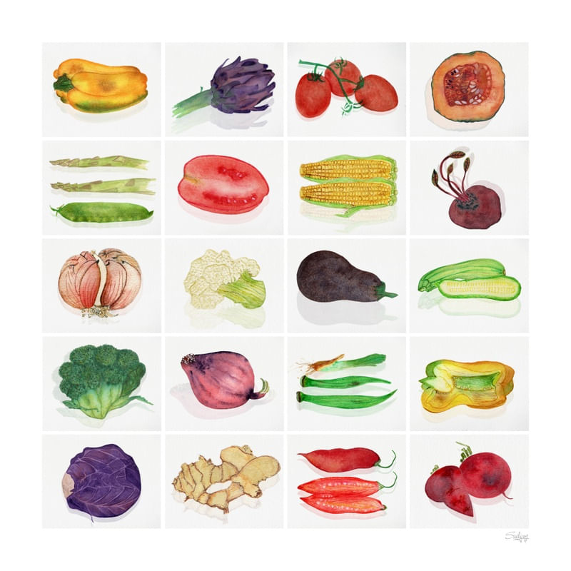 LEGUMES SCM