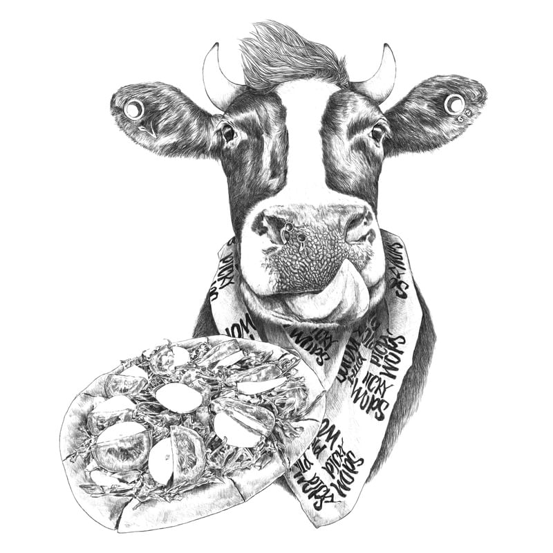 PICKY MOO