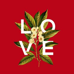LOVE IS RED!