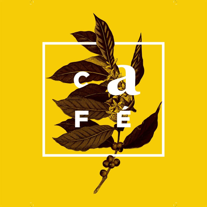 CAFE COM FLORES!