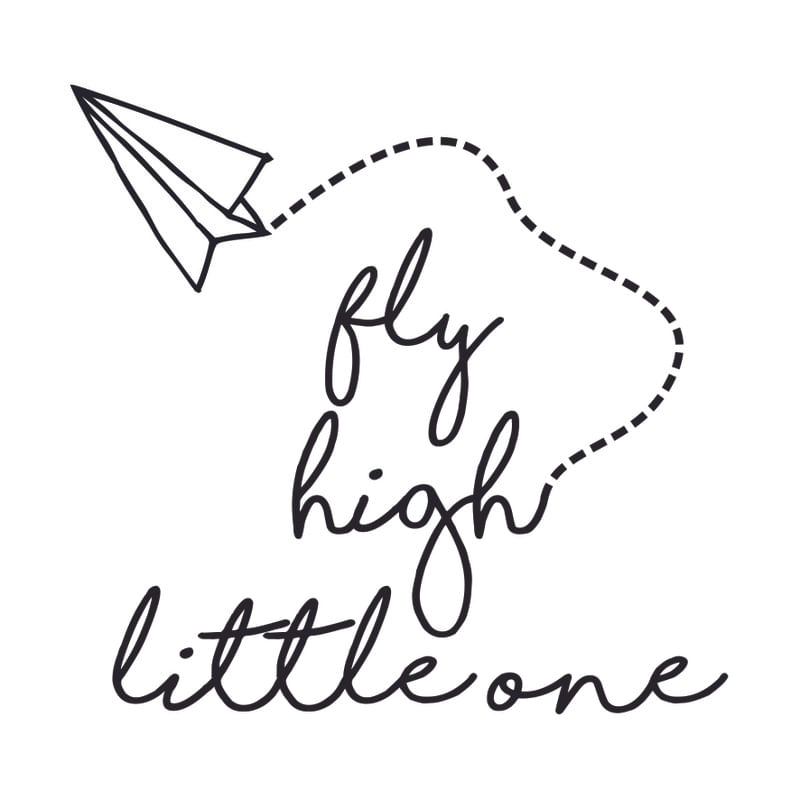 FLY HIGH LITTLE ONE