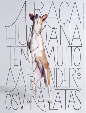 A RAÇA HUMANA VS VIRA-LATAS 36X47,5