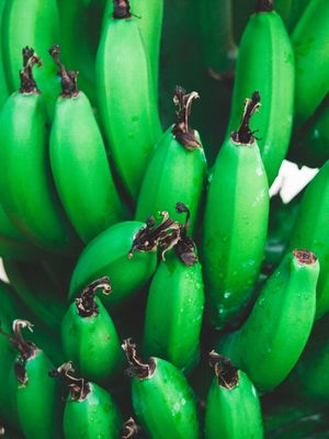 FRUTO DO BRASIL