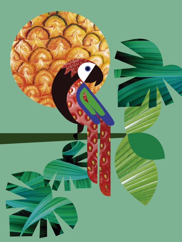 MORANGO ARARA