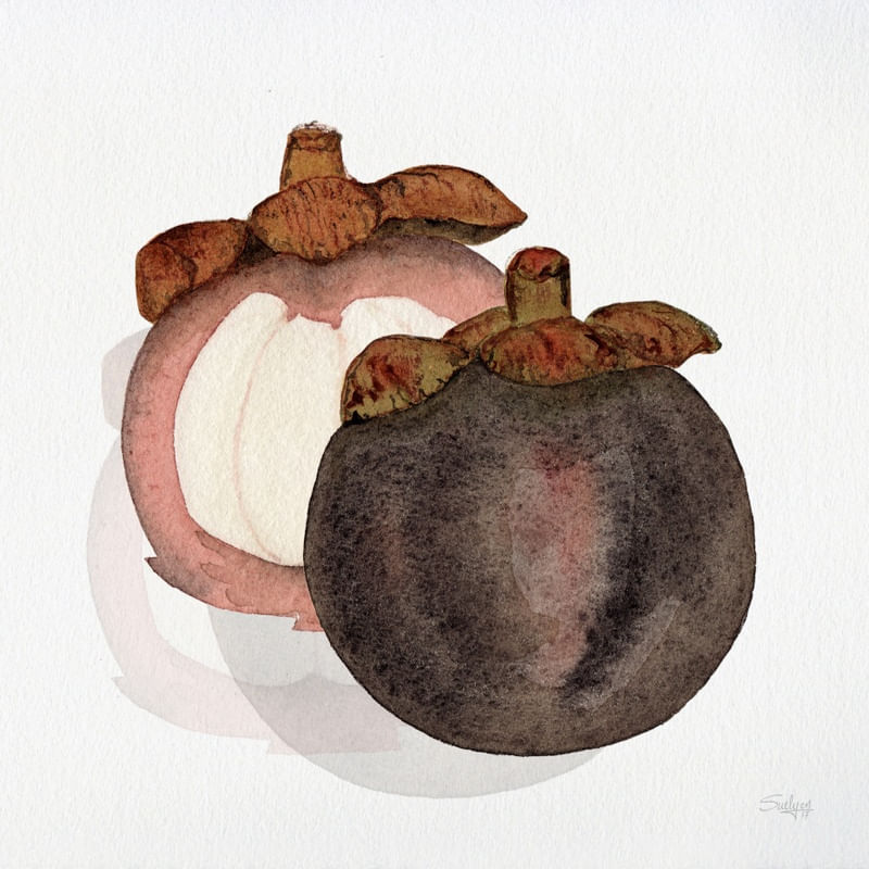 MANGOSTIM