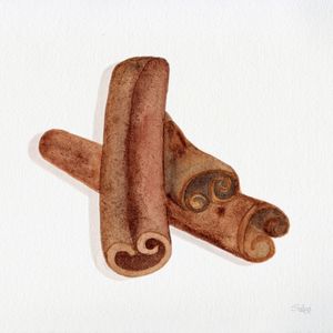 CANELA SCM