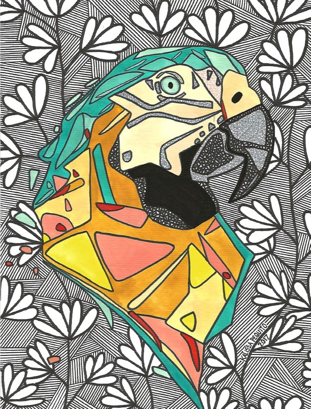ARARA COLOR