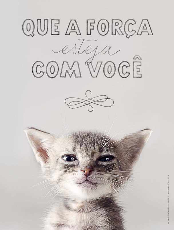 A FORÇA 47,5X62,5