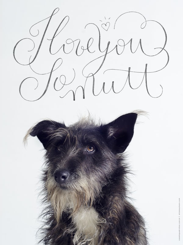 LOVEYOUSOMUTT-67,5X90