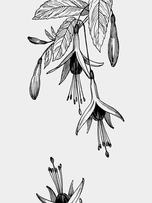 FLOWER ML