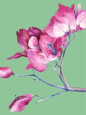 FLOWER W