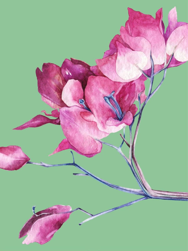 FLOWER W