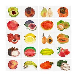 FRUTAS SCM3