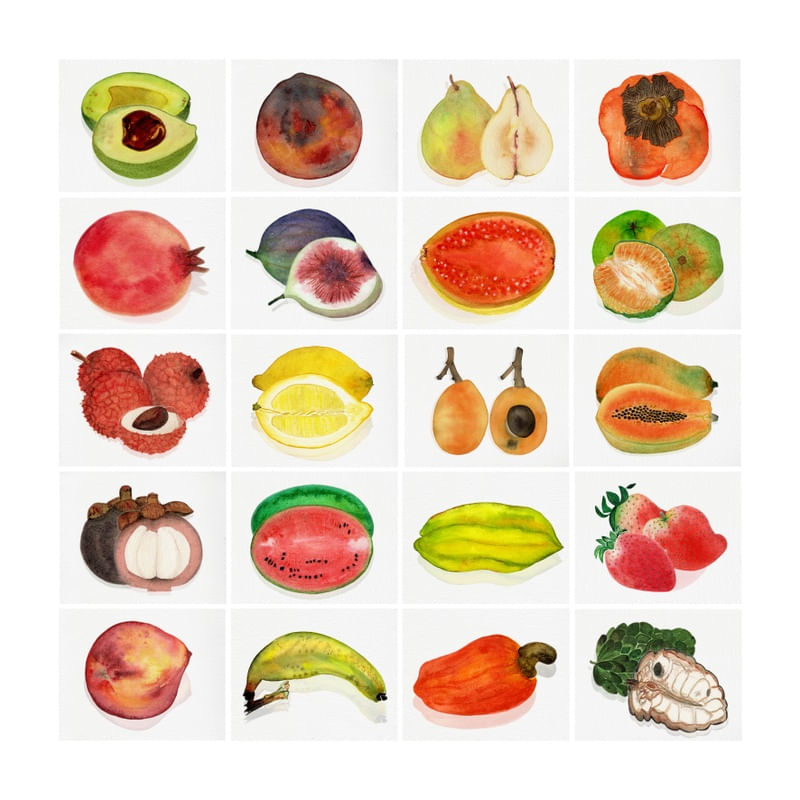 FRUTAS SCM3